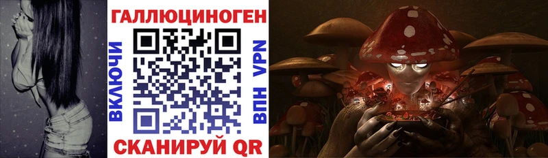 Галлюциногенные грибы Psilocybine cubensis  Ликино-Дулёво 
